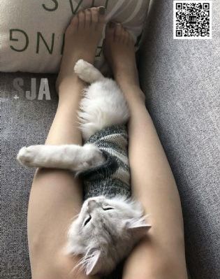 我想我不会爱你