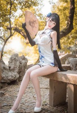 小猫咪视频