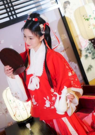 憧憬成为魔法少女动画观看