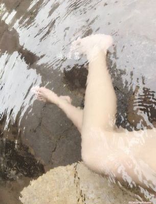 林肯飞行家