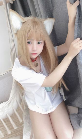 幸福的女人 电视剧