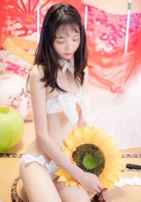 斗破苍穹免费观看全集完整版